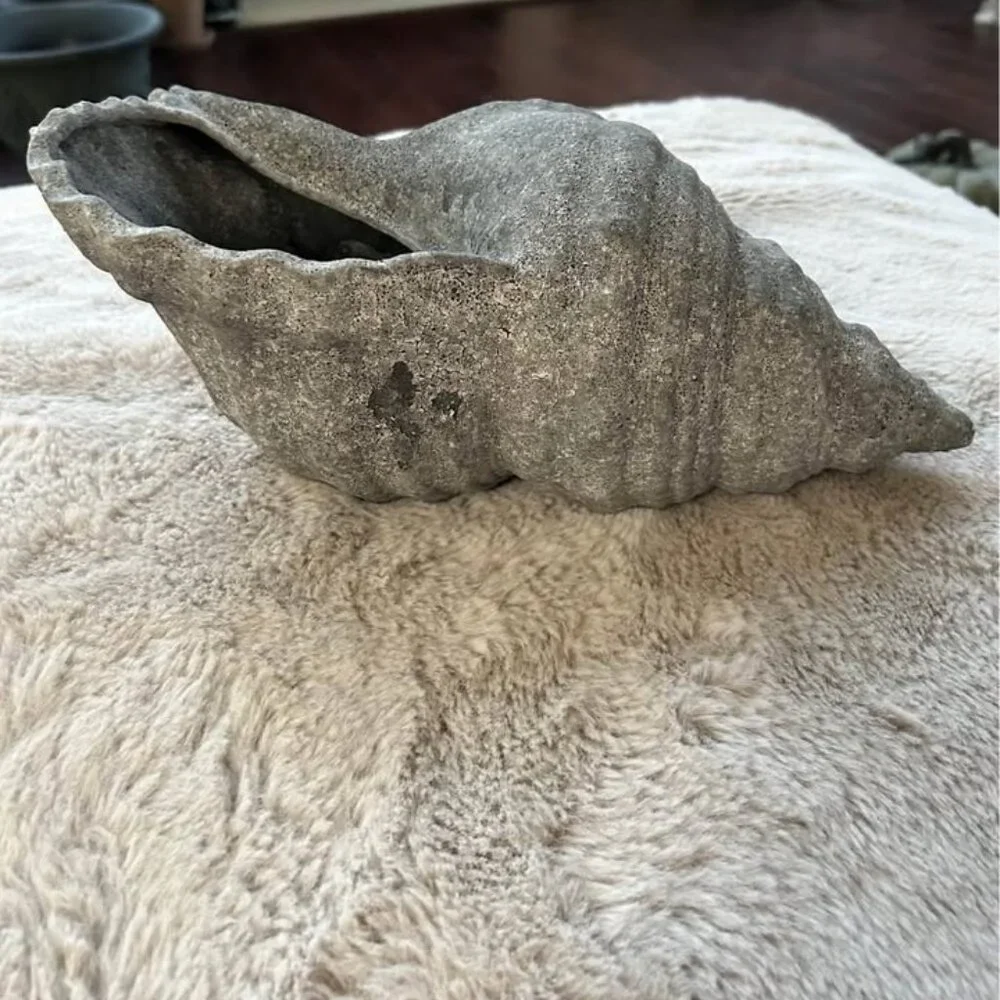Pottery Barn Ceramic Shell